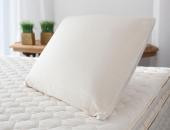 Savvy Rest Organic Soap-Shape Pillow