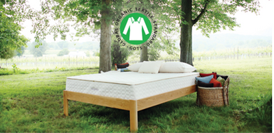 Can a Talalay Mattress be Certified Organic? – Yes but only if it meets rigorous GOTS standards