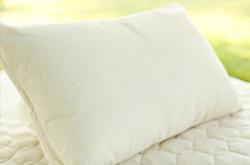 20% Off Savvy Rest Organic Kapok Pillow