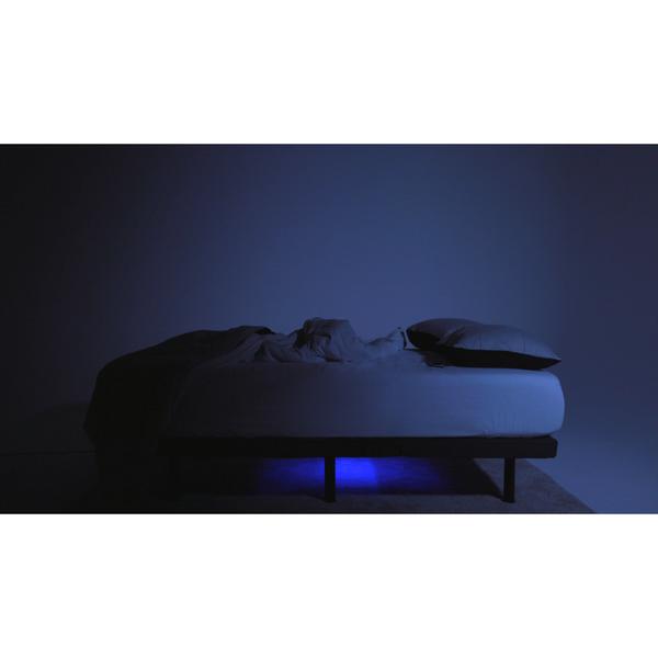 Rize Clarity II Zero Clearance Adjustable Bed Base - Free Shipping & Free 10 Year Warranty