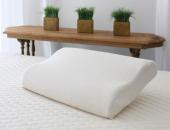 Savvy Rest Organic Contour Latex Pillow