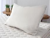 Savvy Rest Organic Wool Pillow